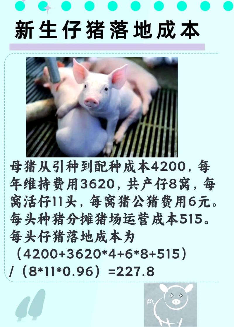 2026年4月8日当前养殖行情如何？适合大规模养殖吗？