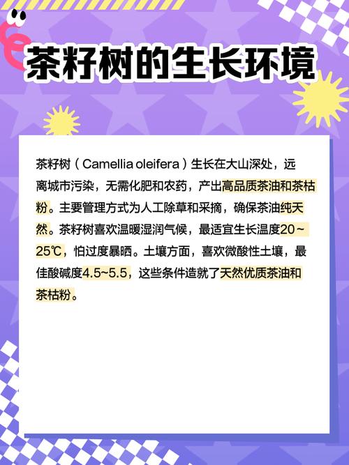 风水学中，房前种植茶籽树是否适宜呢？