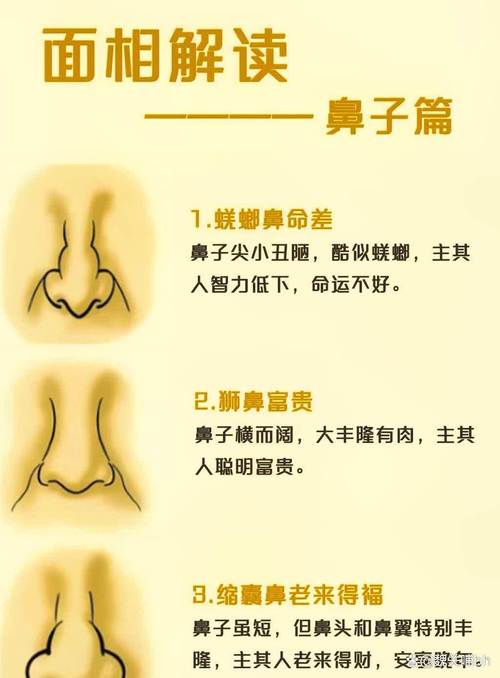 鼻子形状影响家居风水布局会有什么后果？