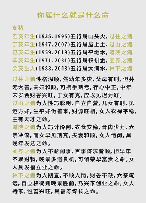 猪年对应的命是什么？猪又是哪一年出生的？