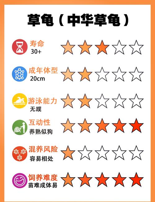 养乌龟对人的风水影响究竟有多大？