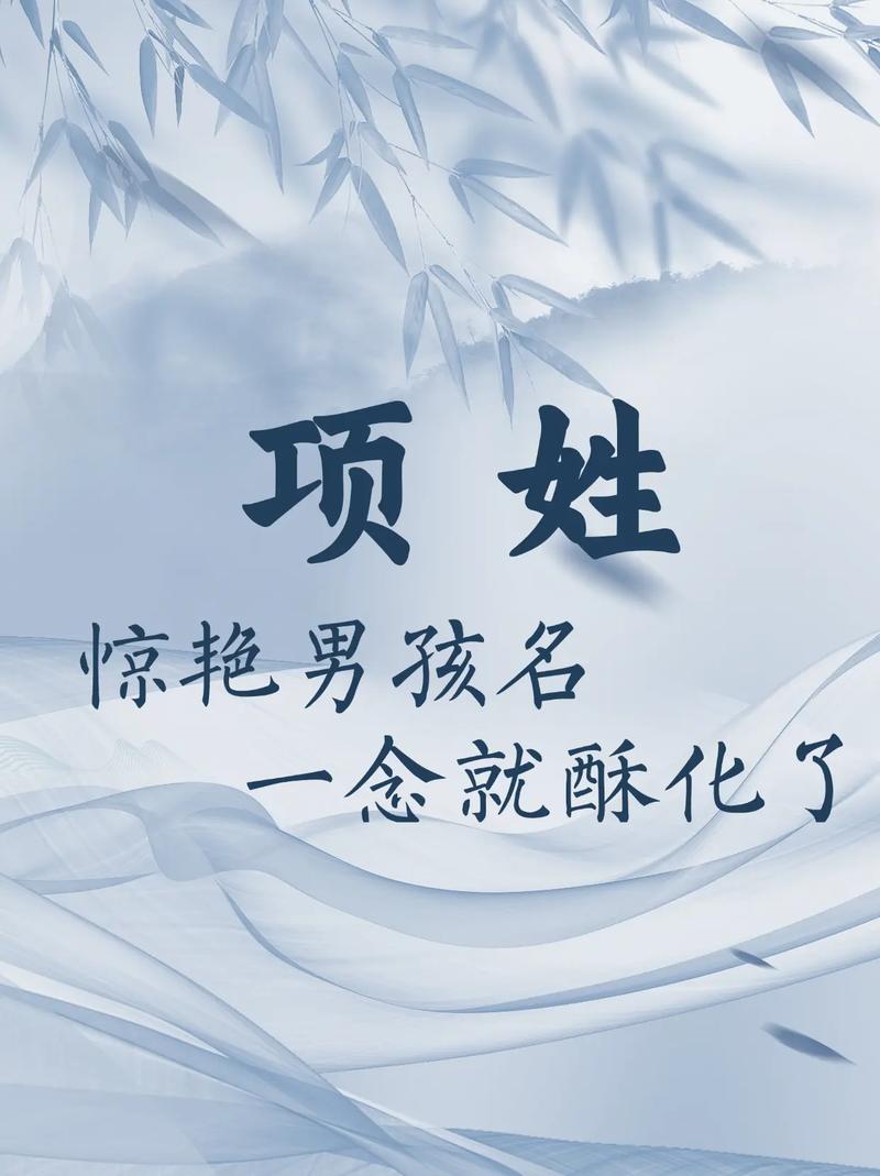 项姓冷门独特男孩名字，有没有什么好听的推荐？