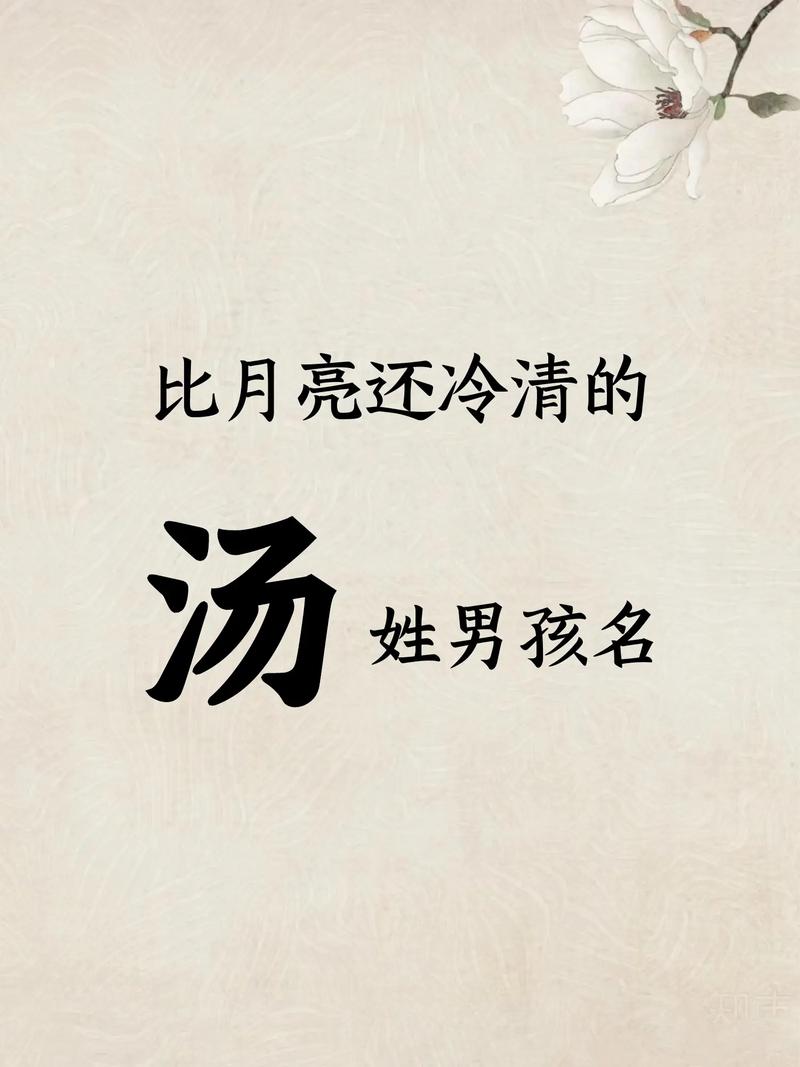 汤姓大气文雅的男宝宝名字叫什么？有没有什么寓意深刻的推荐？