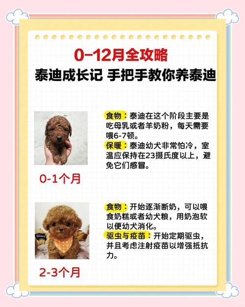 狗宝宝出生在哪个月份命运最佳？