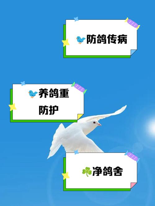 工厂养鸽子对周边风水环境有不良影响吗？