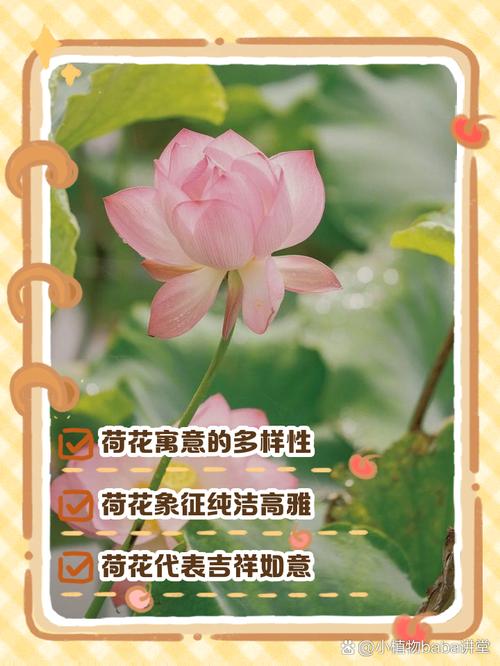 女孩用荷字取名，如何结合风水或五行原理提升名字寓意？