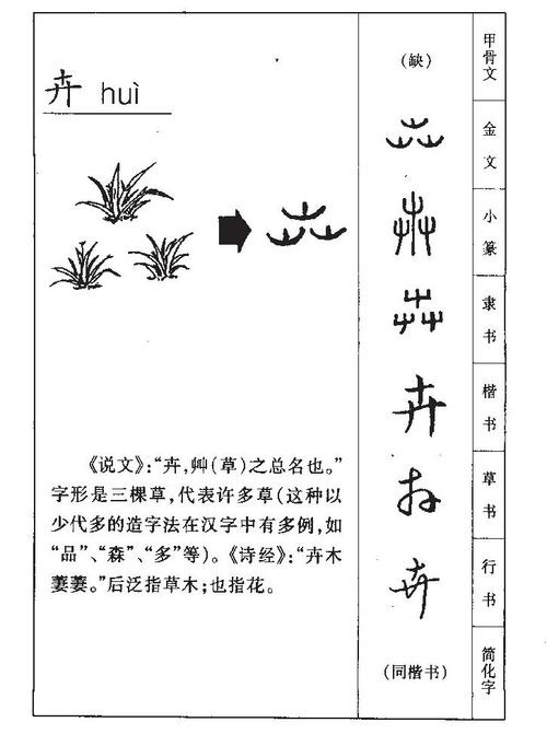 卉字五行属什么，女孩取名寓意有哪些？