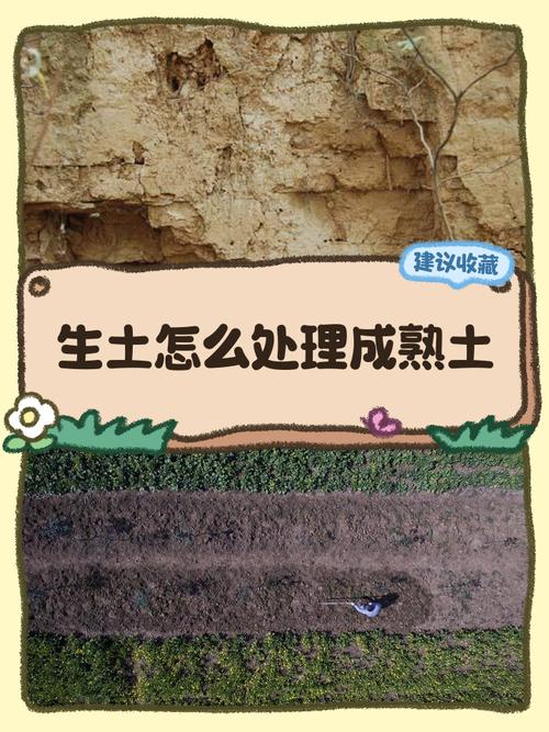 父亲什么命生的孩子会是土命？壁上土的土改指的是哪种土？