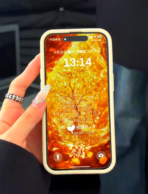 2024年属什么生肖，今年是什么虎年命格？