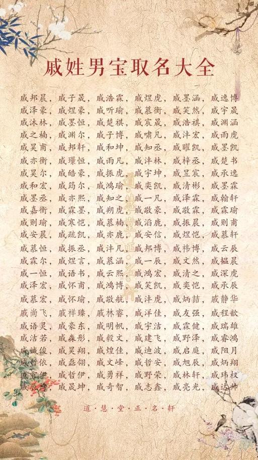 戚姓男宝宝名字中，有哪些既优美又大方的名字可以推荐？