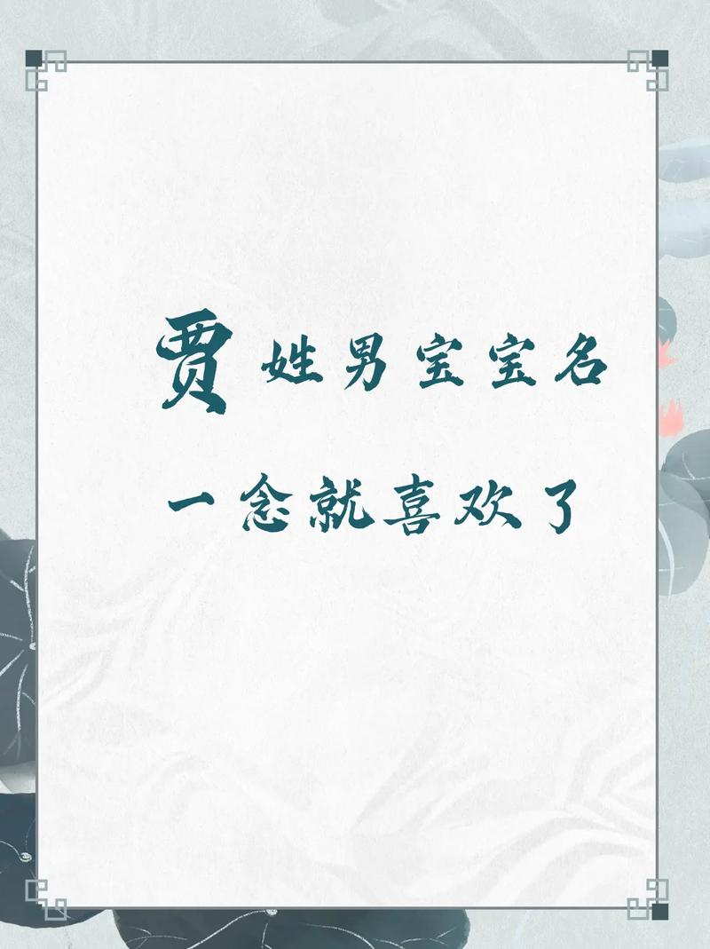 贾姓大气文雅的男孩名字叫什么？有没有什么寓意深刻、朗朗上口的建议呢？