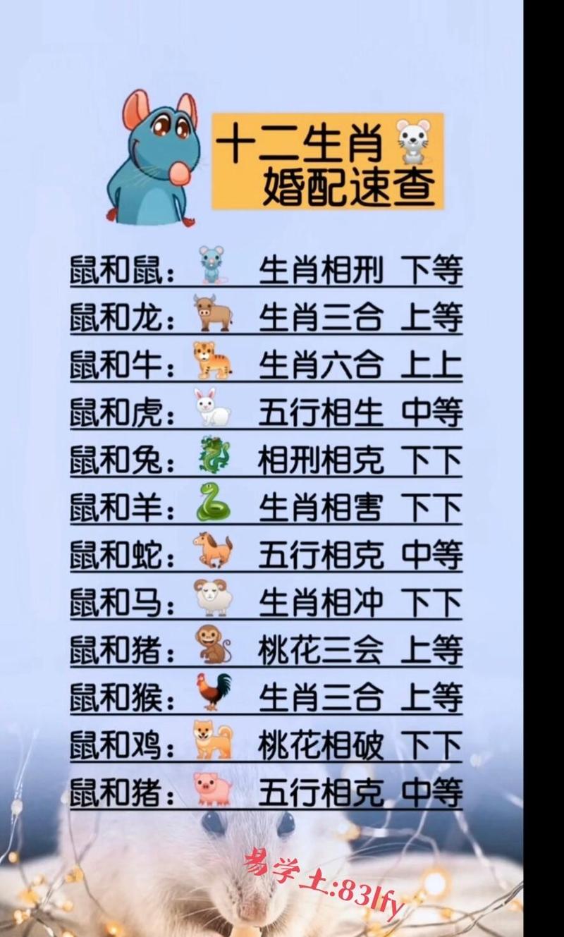 鼠兔婚配是否真的合适，能否孕育出和谐共生的美好未来？