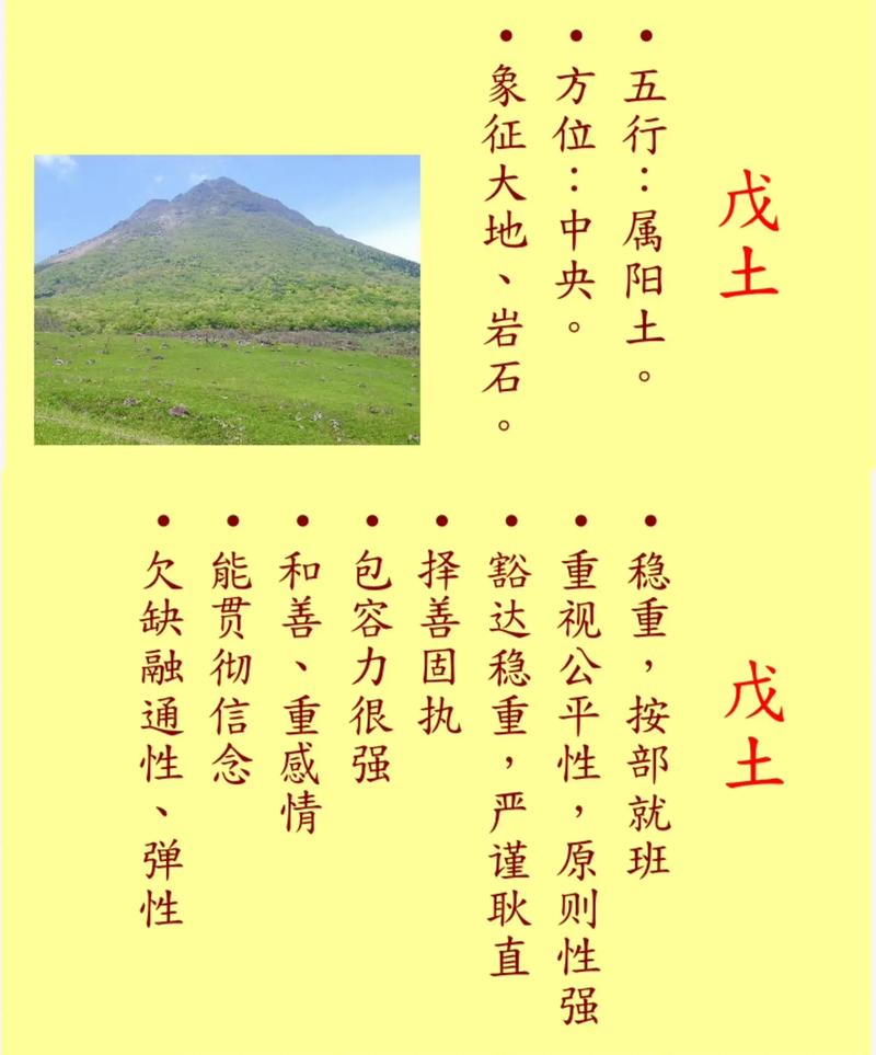 戊己土八字命理具体指的是什么？