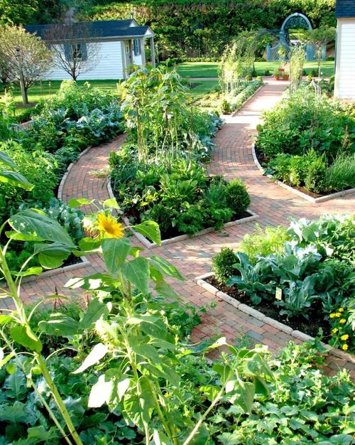 别墅内部可以种植蔬菜吗？这样的布局对风水有影响吗？