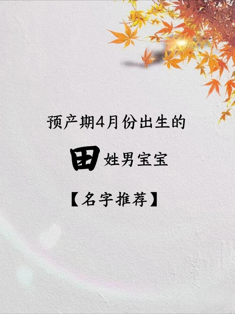姓田的男孩起一个独特优美的名字，有没有什么好建议呢？
