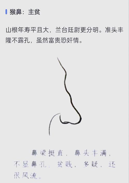 女人鼻梁有骨命，鼻梁骨突出面相如何？