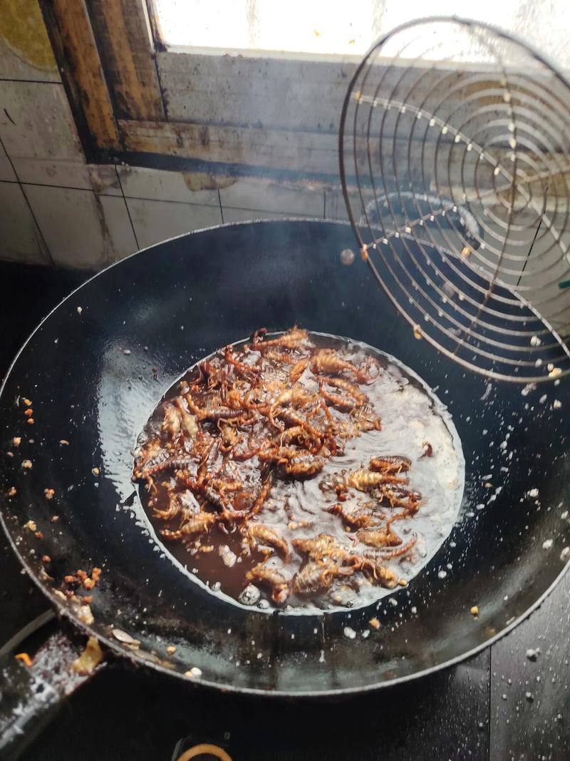 家里适合养蝎子吗？这样的风水布局是否吉利？