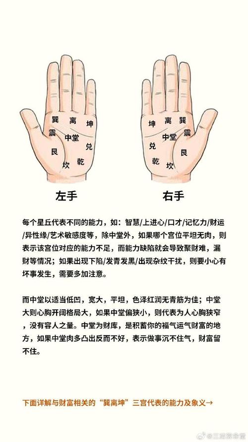 先天手相能判断出哪种命格的运势？