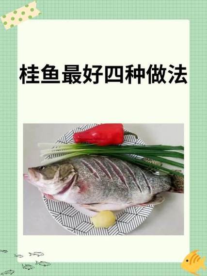 家里养桂鱼风水如何，适宜吗？