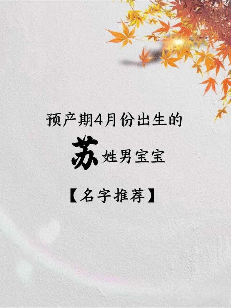 有哪些含义美好的苏姓男孩名字可以推荐？