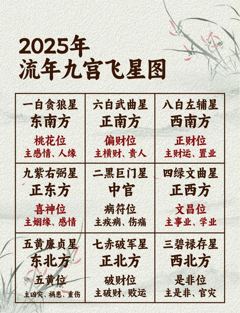 女命八字身弱无财星，如何调整布局以增强财运？