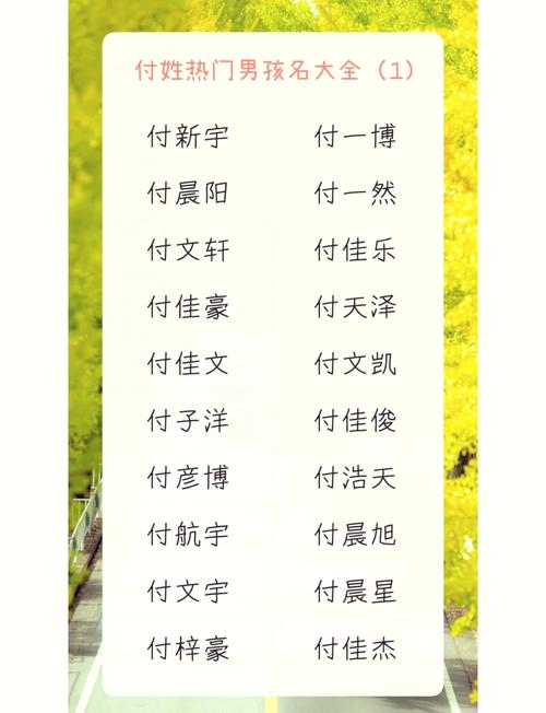 傅姓女孩名字中，有哪些既独特又优美的名字可以取呢？