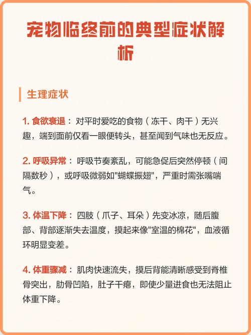 临终前会出现哪些具体症状？