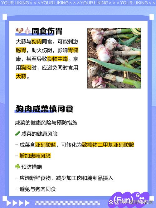 学习风水时为何忌讳同时食用狗肉呢？