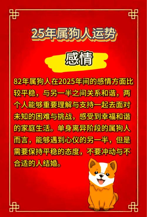 属狗人今年婚姻运势如何，有没有什么忒别需要注意的地方？