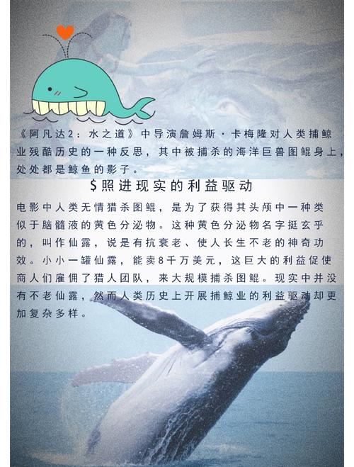 鲸鱼八字命理中，五行相生相克如何影响其一生运势？