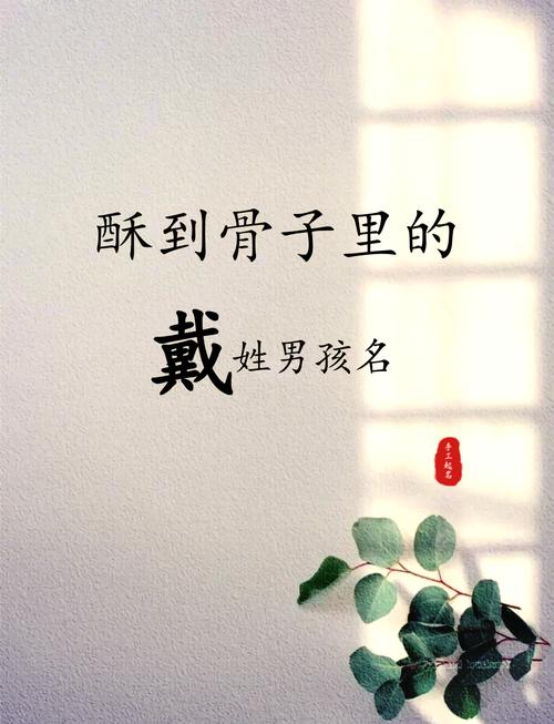 戴姓男孩取个吉祥名字，有没有什么好建议呢？