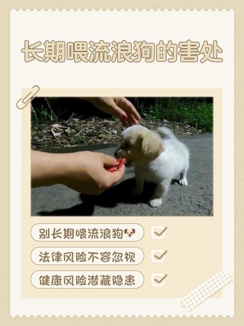 喂狗的风水对人的影响真的彳艮大吗？