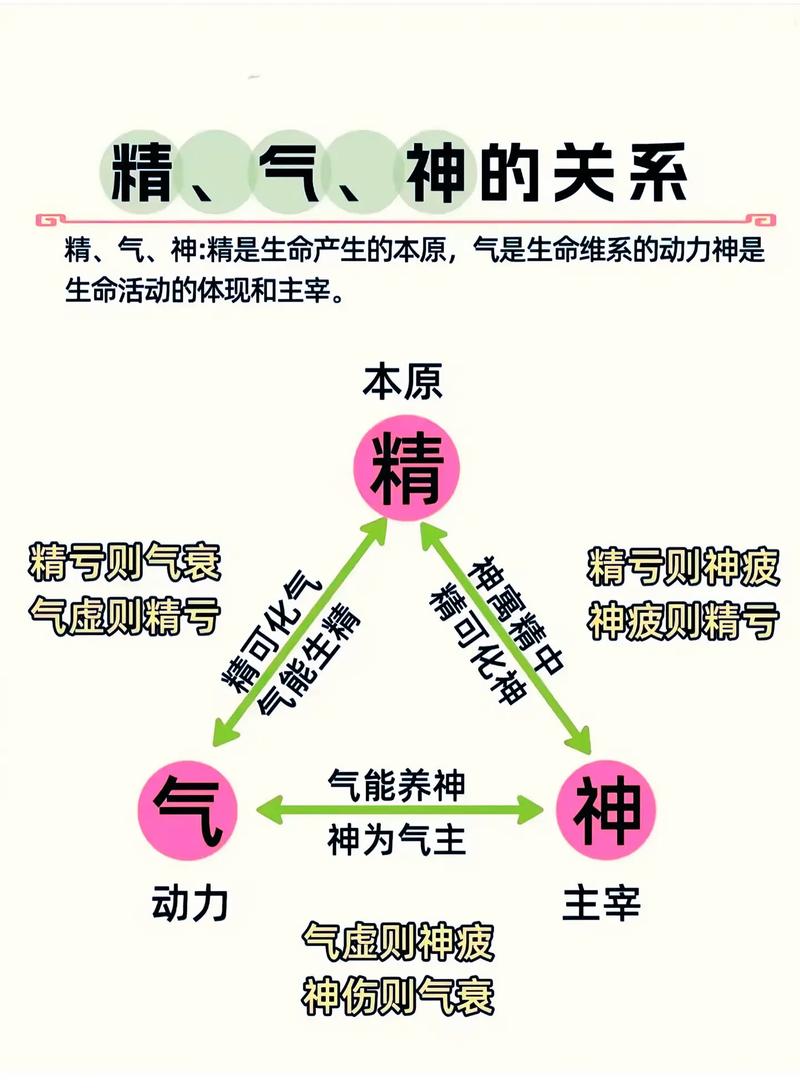 八字命理中，气之进退是如何体现的？