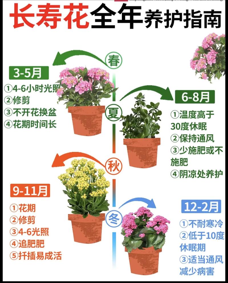 院外种花时有哪些风水讲究需要注意呢？