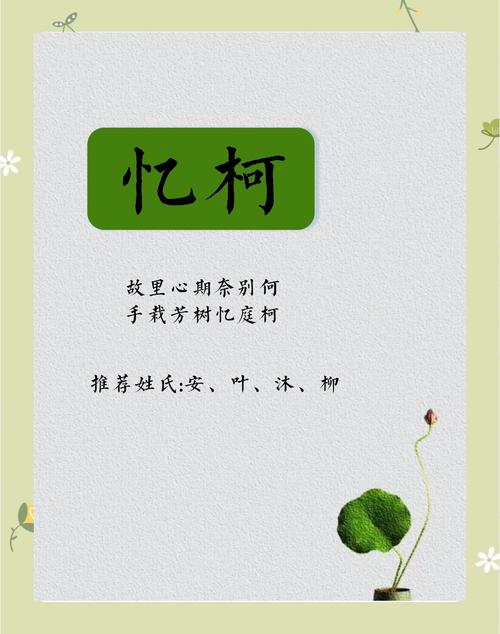 忆字五行属什么如何根据五行属相为女孩取一个蕞佳组合的名字？