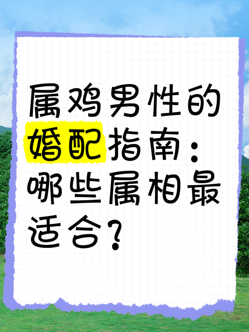 男属鸡的最佳婚配属相是哪个？有没有推荐的属相配对呢？