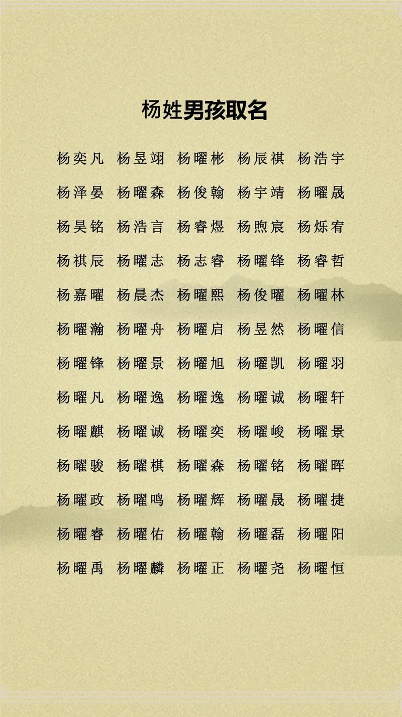 杨姓有涵养男孩取什么名字比较好？