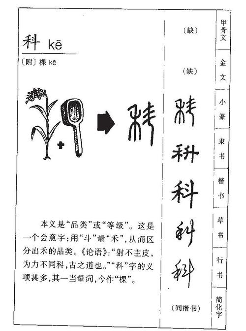 科字五行属什么，男孩取名寓意好科字有哪些？