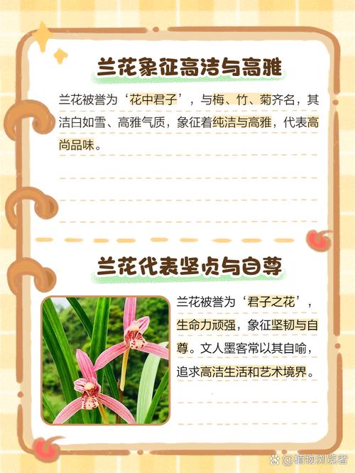 八字兰花命究竟是什么意思？能否详细解释一下这个命理概念？