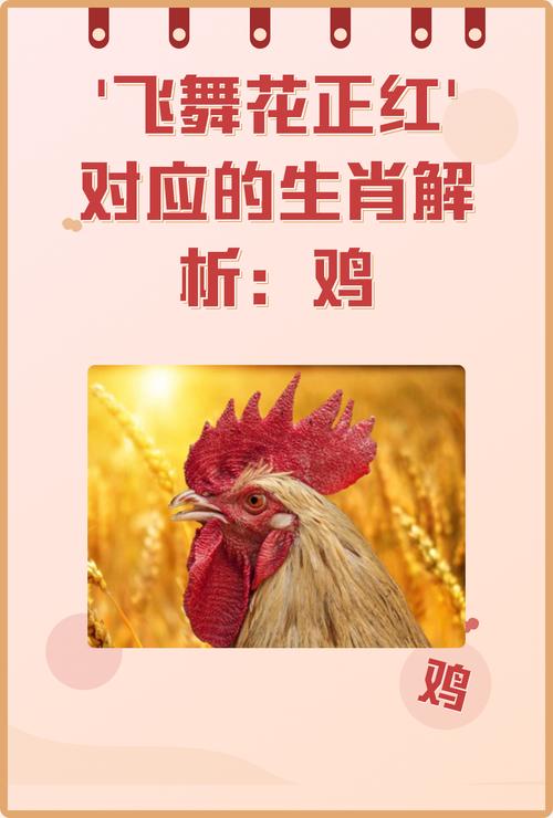 八字蝴蝶命究竟是什么命？土鸡的命运如何改变？