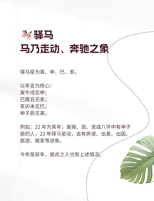 木马命适合哪些行业？水马命适合哪些职业？