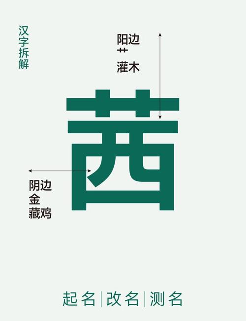 西字取名寓意女孩，有哪些美好的象征和含义？