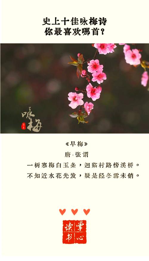 梅子落花谁家子，诗意盎然唤何名？