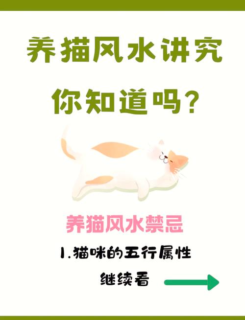 餐厅风水适宜养猫吗？有什么讲究？