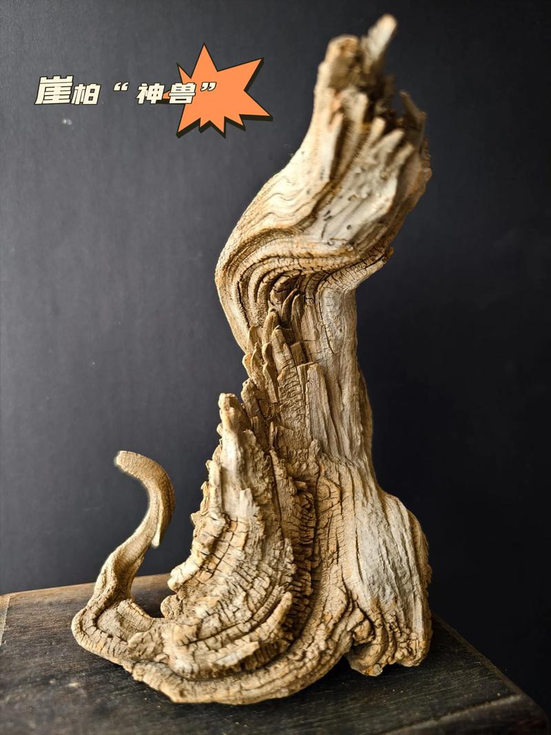 松柏木功效与作用佩戴什么吉祥物最合适？