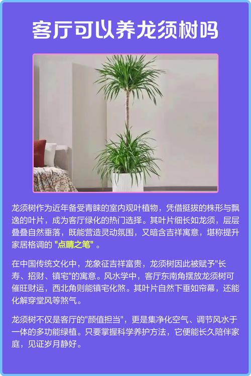 家里摆放树枝会对风水产生怎样的影响呢？