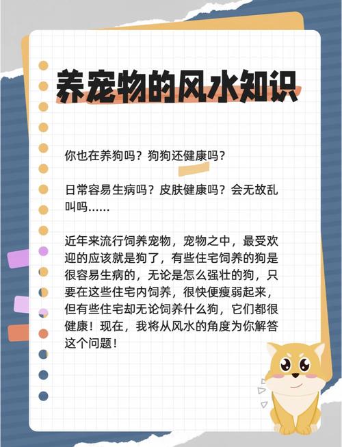 家里养狗狗真的会对风水产生不良影响吗？