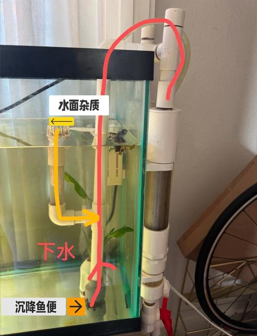 在厕所养鱼对家居风水是否有益处？