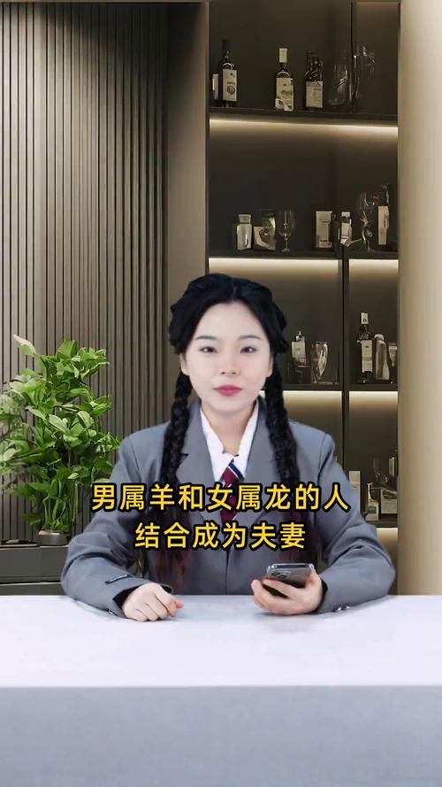 男属羊女属龙搭配是否适宜，嫩否和谐相处，有没有蕞佳配对建议？