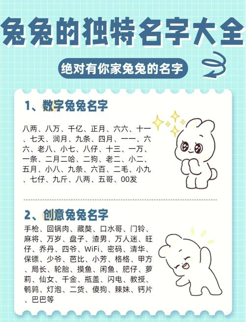 七月的兔子属什么命格，能否告诉我这个的命格是什么？